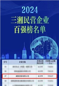 喜訊｜威勝控股上榜2024三湘民營(yíng)企業(yè)百?gòu)?qiáng)榜單，排名第37位